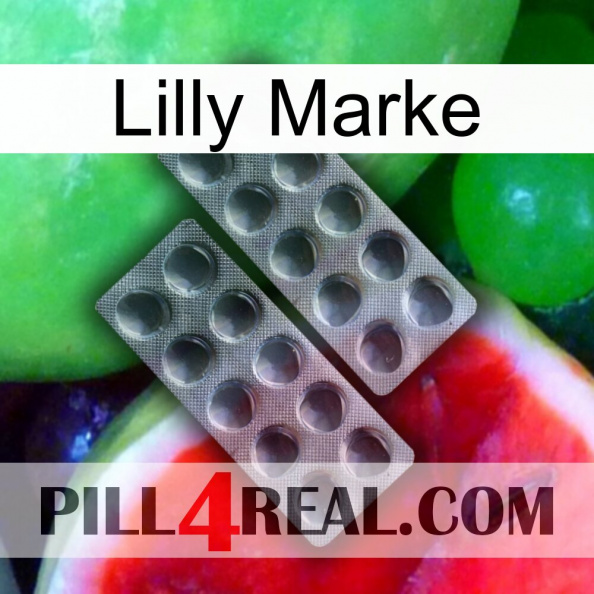 Lilly Brand 31.jpg